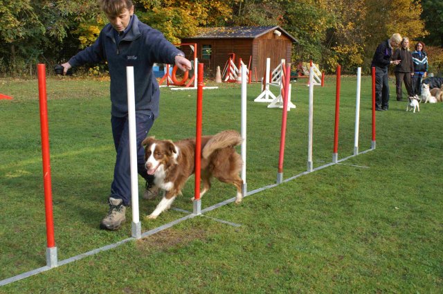 agility 2011-10-30